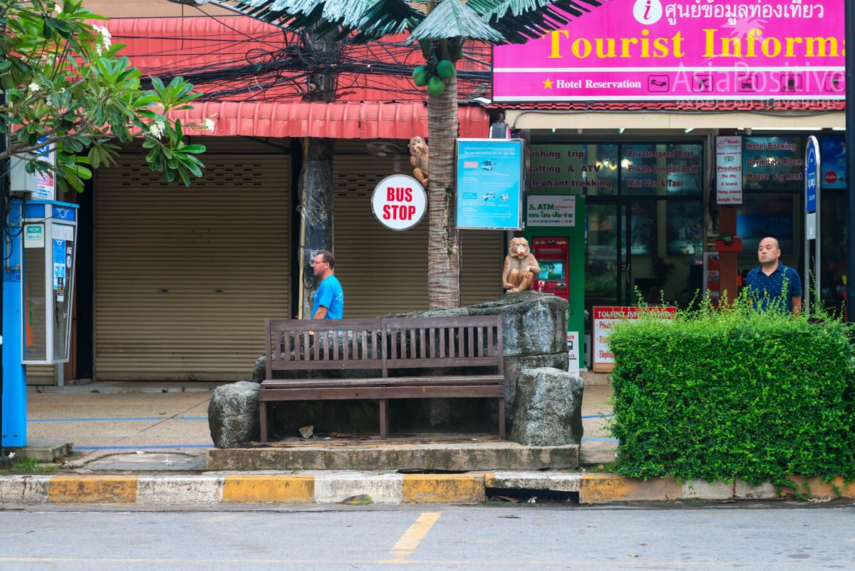 Bus stop just for beauty | Ao nang, Krabi, Thailand | Travel in Asia with AsiaPositive.com